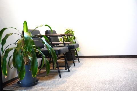 社内の植物